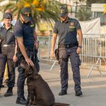 Alguer Summer Festival, 70 giovani segnalati per droga dalla Finanza