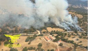 Grosso incendio nelle campagne di Pattada, danni ingenti