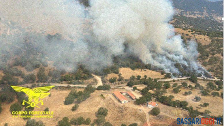 Grosso incendio nelle campagne di Pattada, danni ingenti
