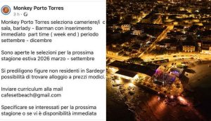 Monkey Porto Torres