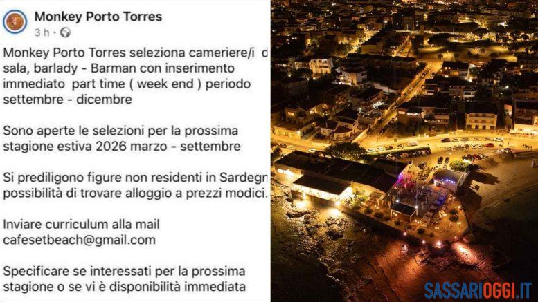 Monkey Porto Torres