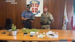 Spaccio di droga nelle campagne di Ossi, arrestato