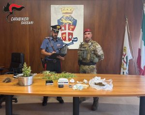 Spaccio di droga nelle campagne di Ossi, arrestato