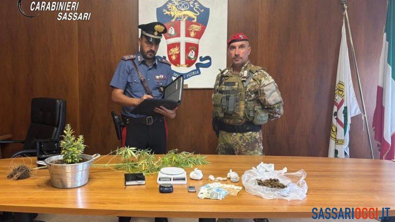 Spaccio di droga nelle campagne di Ossi, arrestato