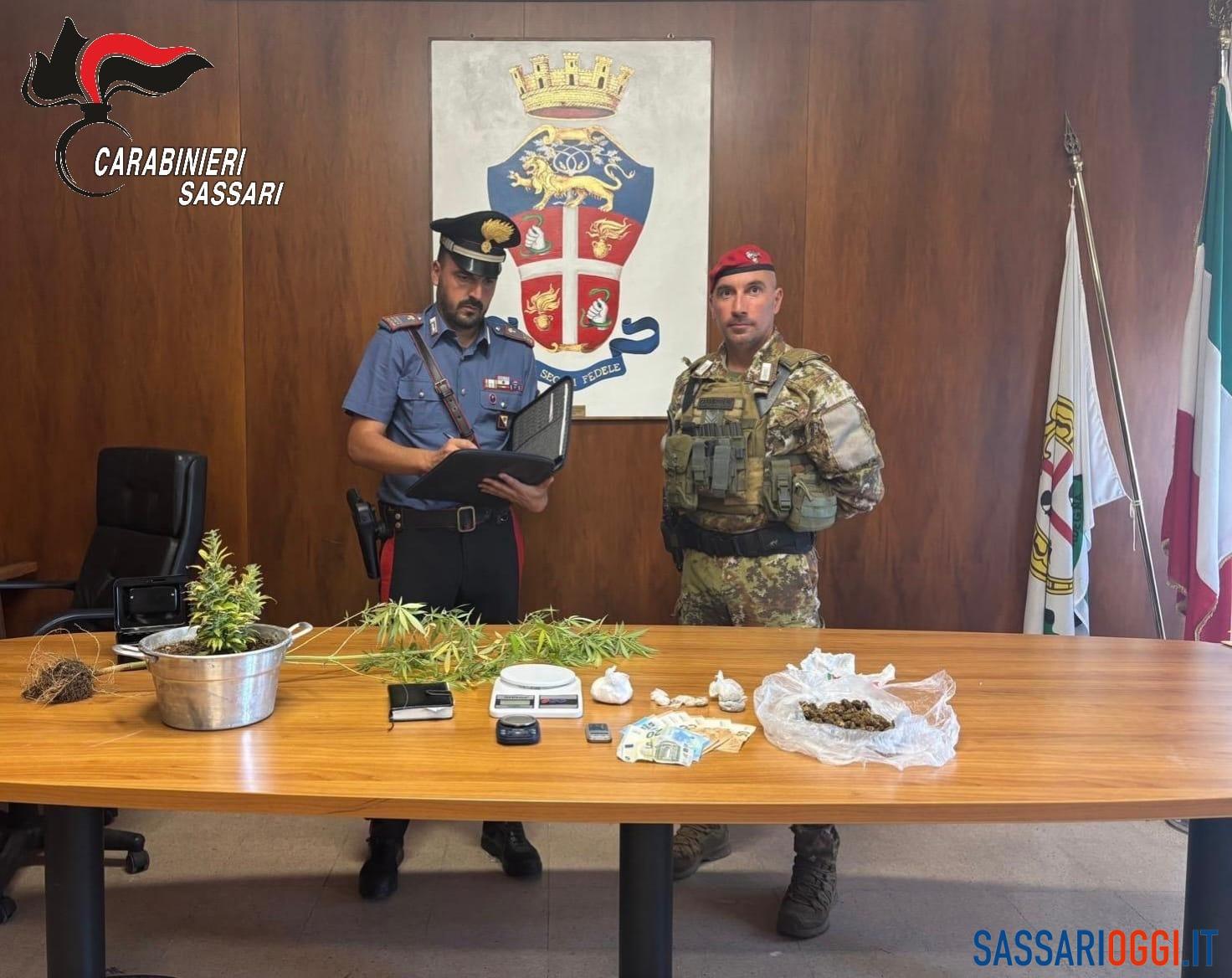 Spaccio di droga nelle campagne di Ossi, arrestato