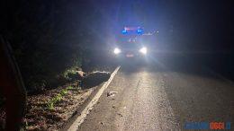 Incidente sulla strada provinciale di Sorso, morti sei cinghiali
