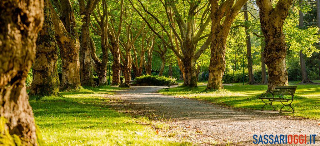 verde pubblico sassari