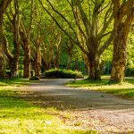 verde pubblico sassari
