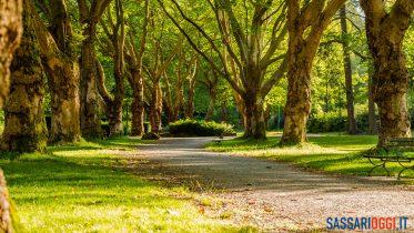 verde pubblico sassari