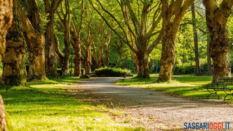 verde pubblico sassari