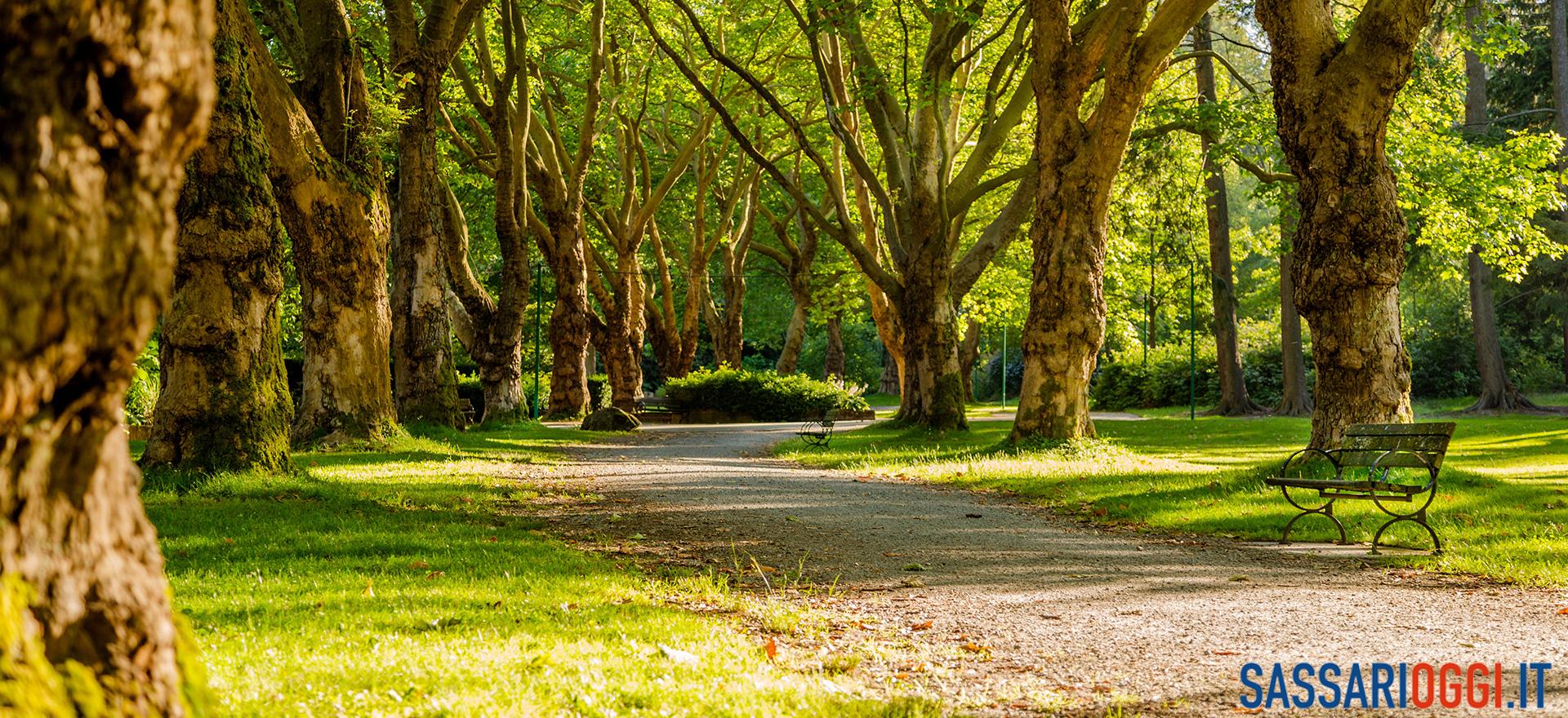 verde pubblico sassari