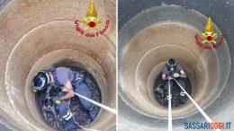 Cane precipita nel pozzo, salvato dai vigili del fuoco a Benetutti