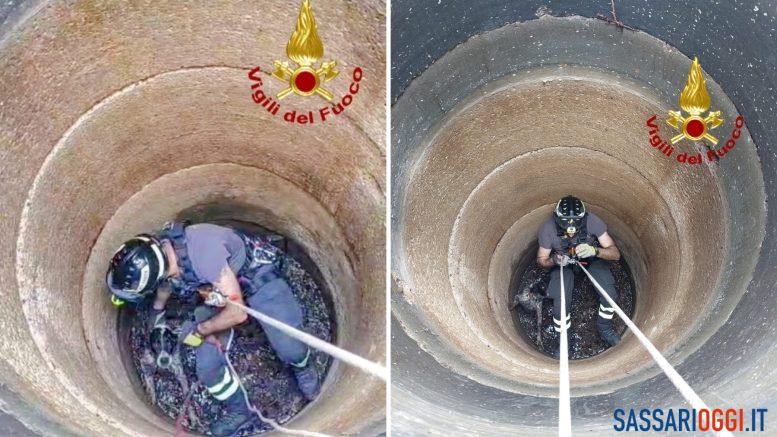 Cane precipita nel pozzo, salvato dai vigili del fuoco a Benetutti