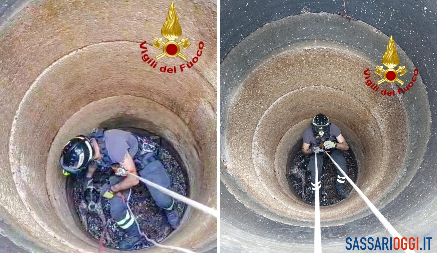 Cane precipita nel pozzo, salvato dai vigili del fuoco a Benetutti