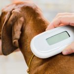 Microchip cani