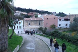 miglio sennori