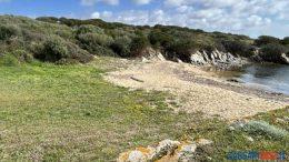 tanca manna ripascimento stintino