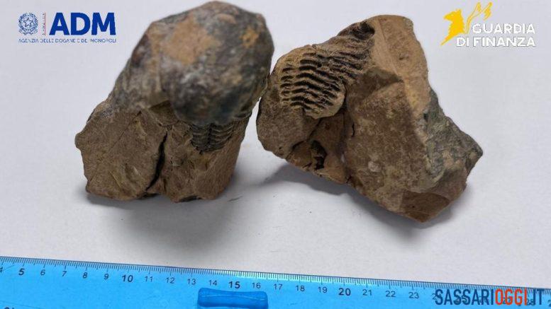 Fossile nel bagaglio a mano, turista fermato all’aeroporto di Alghero