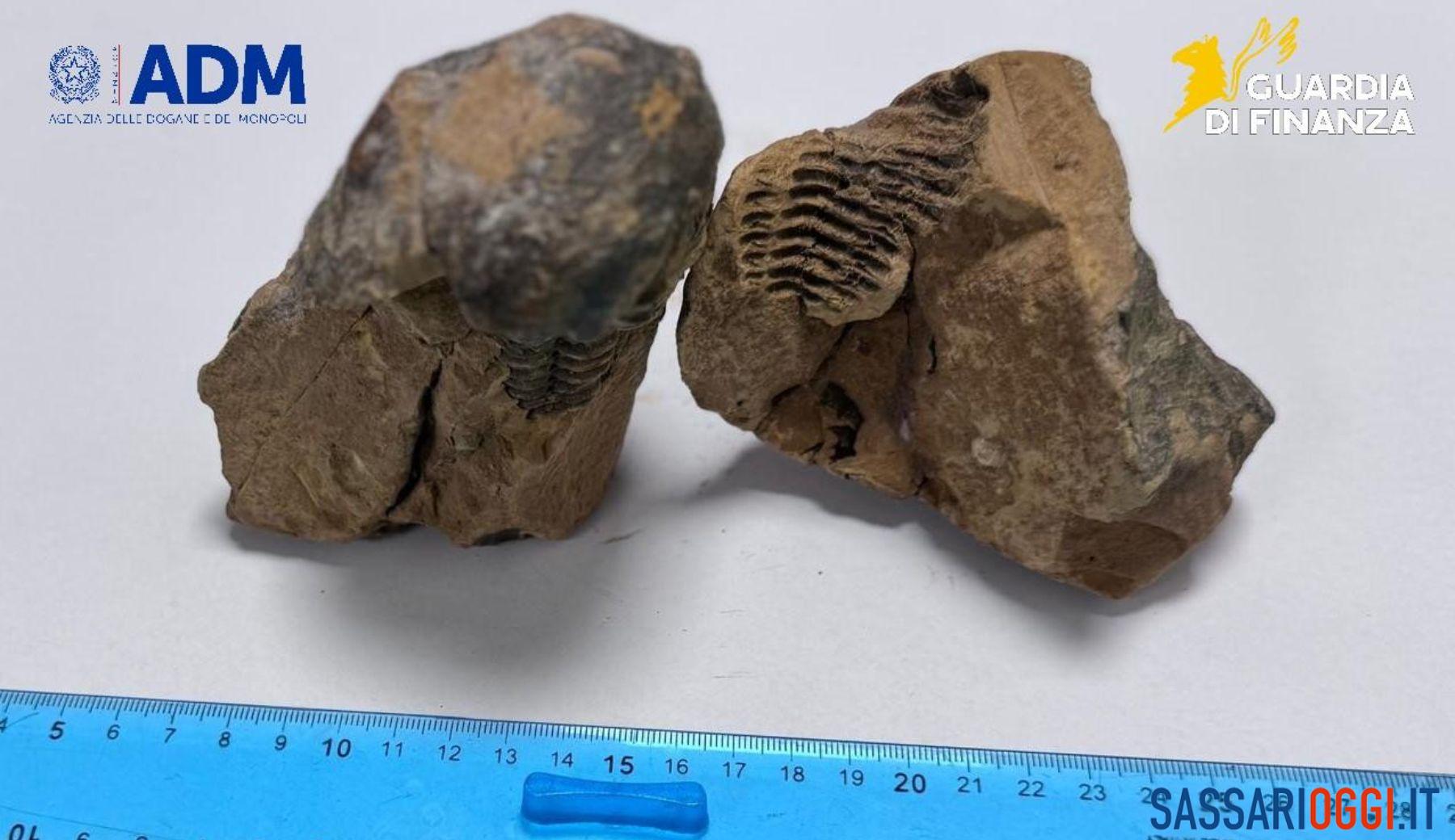 Fossile nel bagaglio a mano, turista fermato all’aeroporto di Alghero