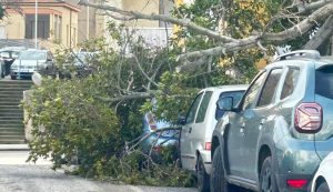 Maltempo in provincia di Sassari, due feriti