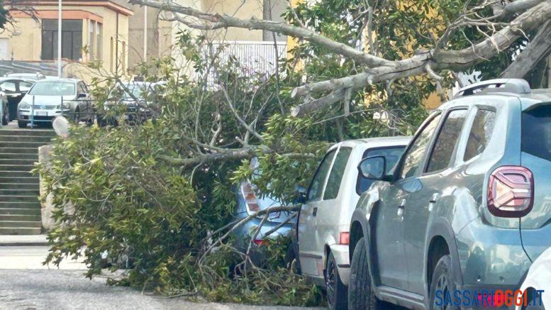 Maltempo in provincia di Sassari, due feriti