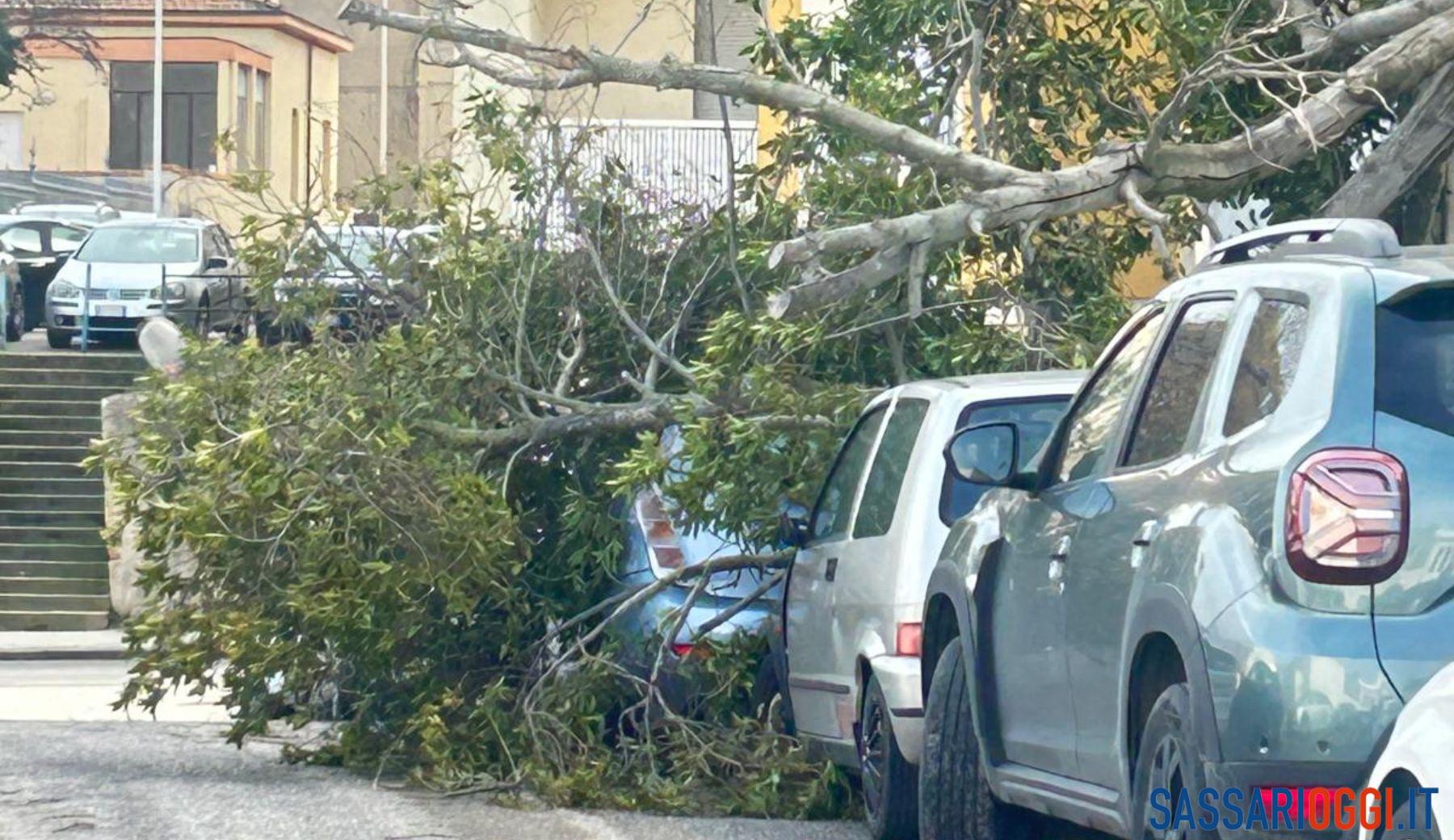 Maltempo in provincia di Sassari, due feriti