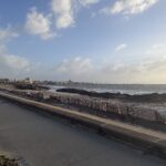 Posidonia spiaggia Alghero