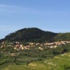 Cheremule