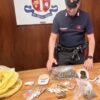Beccato con marijuana e hashish, arrestato spacciatore a Sassari