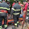 Colpito da un ramo resta bloccato su un albero a Sorso