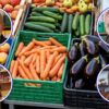 Frutta e prezzi civetta, il grido d’allarme dei grossisti a Sassari