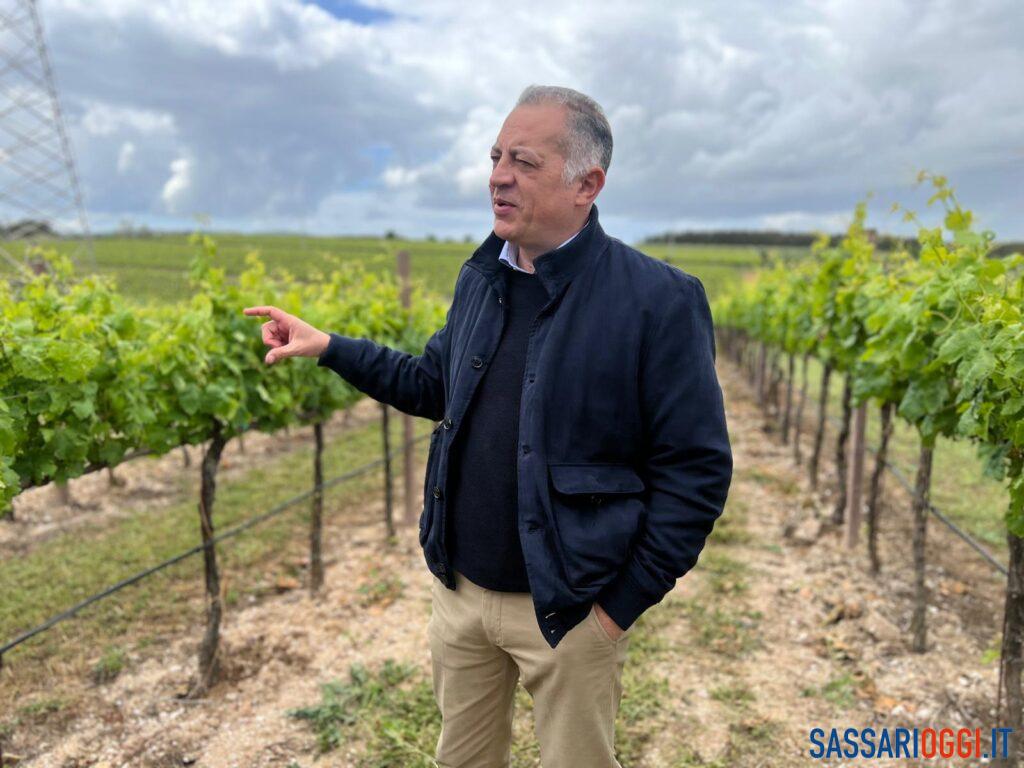 Medaglia d’Oro al Cannonau San Costantino Parpinello 2024