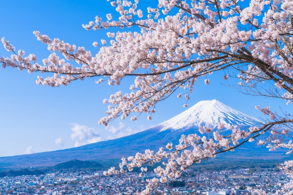 Programmi estate e inverno di Guiness Travel: al centro assistenza e polizza multirischio per tutti i viaggiatori