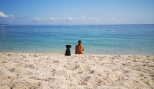 Cani spiaggia Sassari