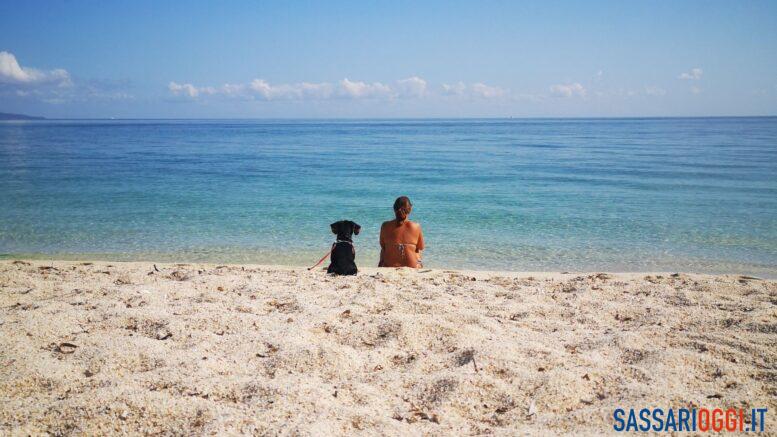 Cani spiaggia Sassari
