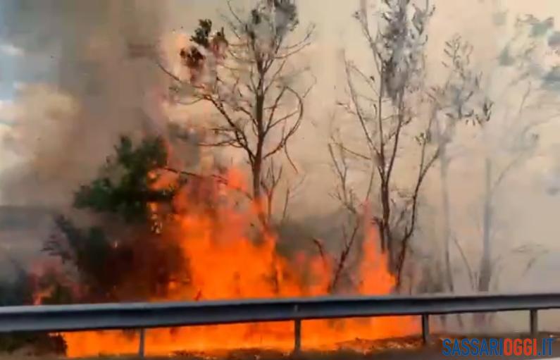 Grosso incendio nelle campagne di Ploaghe