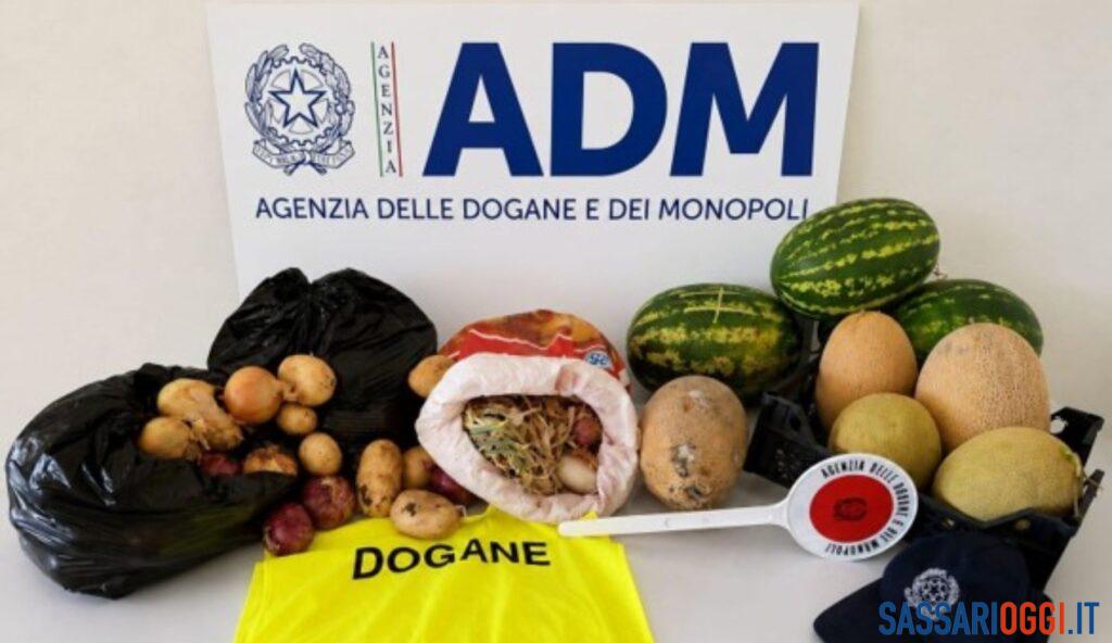 Maxi sequestro di frutta e verdura illegale a Porto Torres