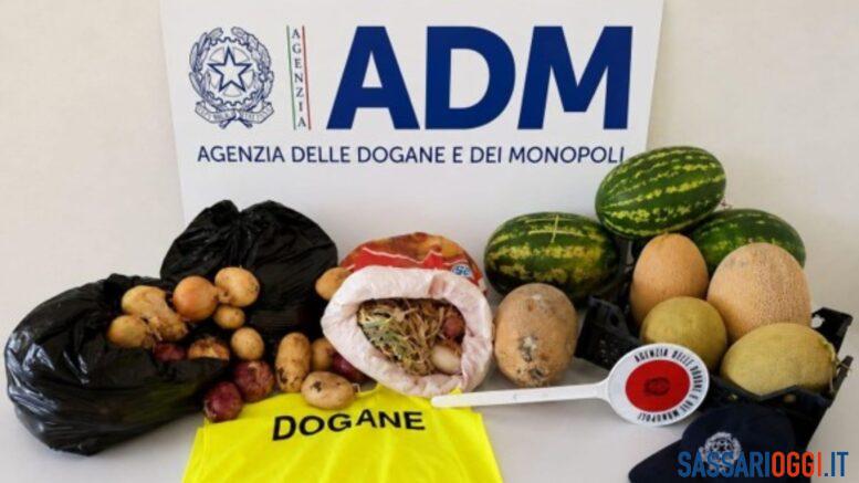 Maxi sequestro di frutta e verdura illegale a Porto Torres