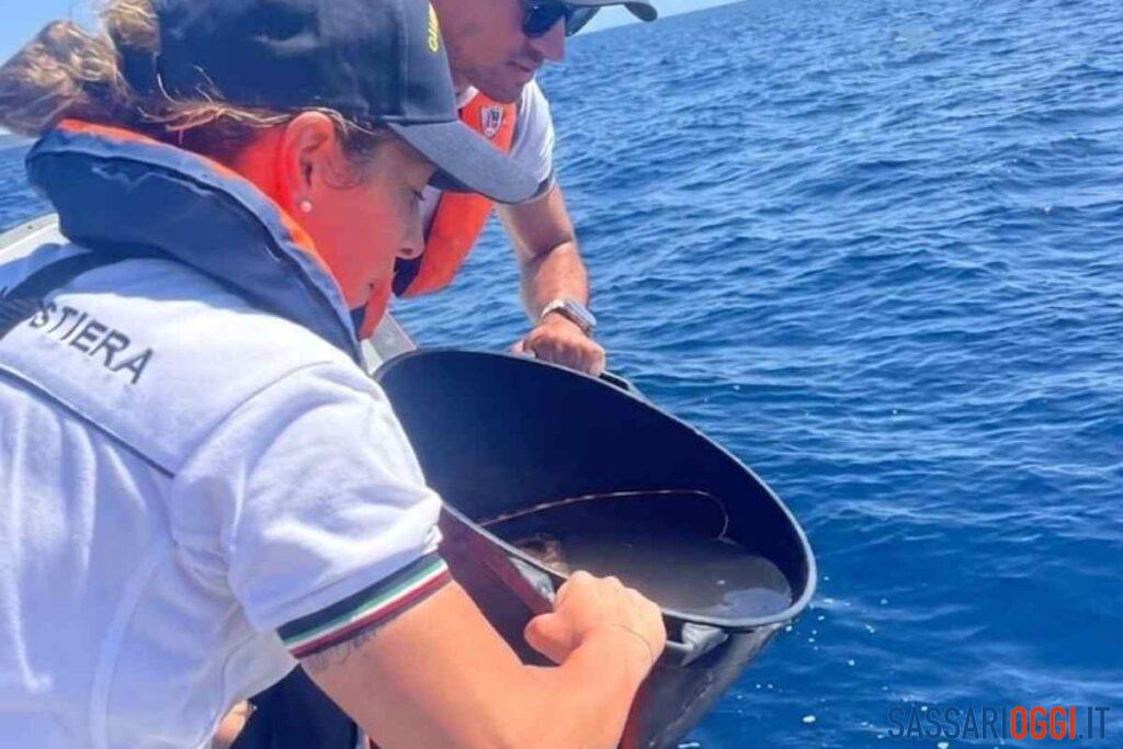 Pesca piccole aragoste a Bosa: multato per 75mila euro