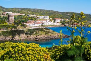 cala d'oliva asinara
