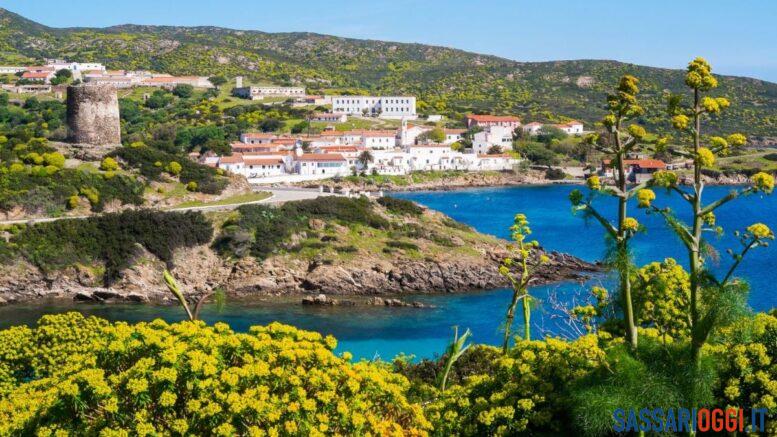 cala d'oliva asinara