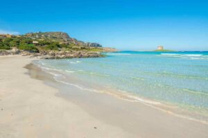 mare sardegna pelosa