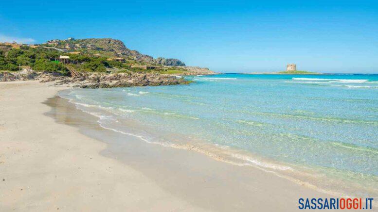mare sardegna pelosa