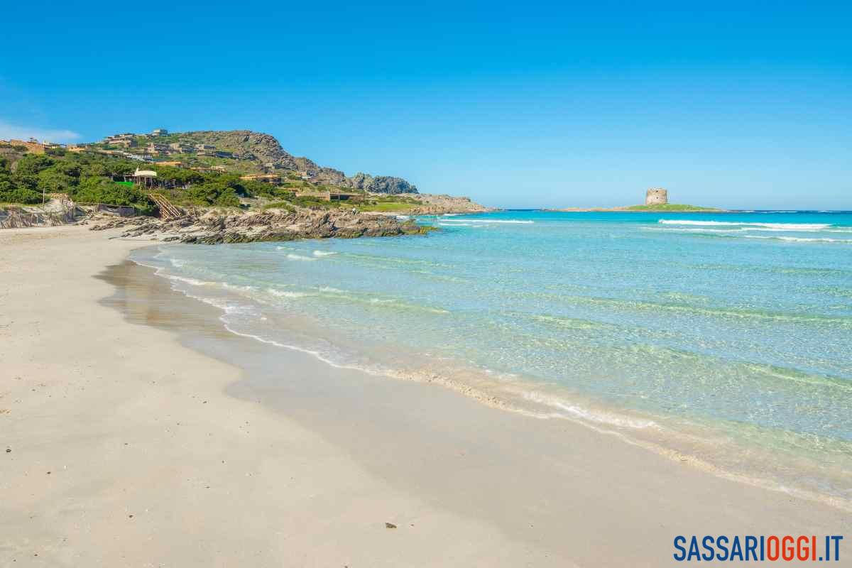 mare sardegna pelosa