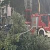 Albero perde un grosso ramo a Sassari, nuovo caso in pochi giorni