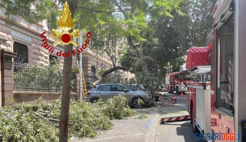 Grosso ramo crolla a Sassari, danneggiate tre auto in sosta