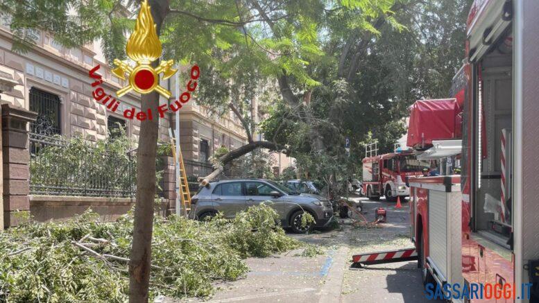 Grosso ramo crolla a Sassari, danneggiate tre auto in sosta