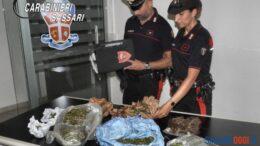 Marijuana nascosta in un container a Sedini, arrestato un uomo
