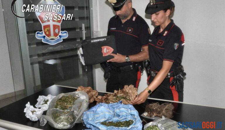 Marijuana nascosta in un container a Sedini, arrestato un uomo