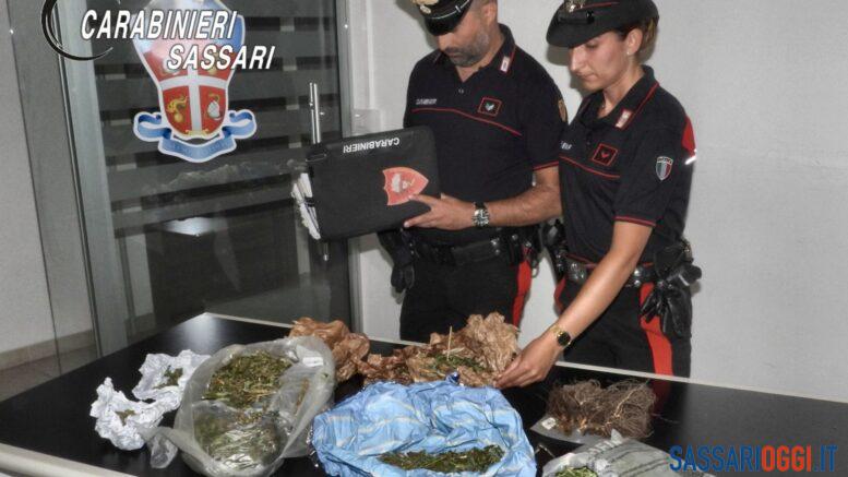 Marijuana nascosta in un container a Sedini, arrestato un uomo